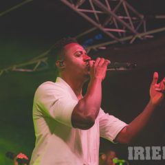 IMG_9342
