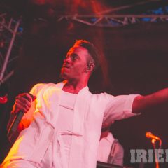 IMG_9354