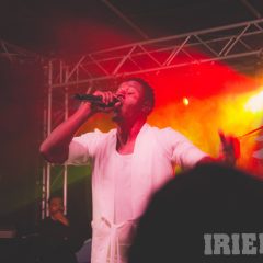 IMG_9378