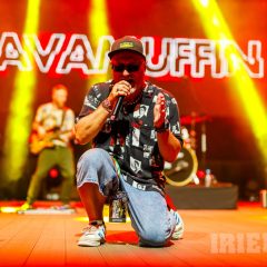 Vavamuffin