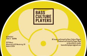 Natty Nature “Write Your Story” / Bass Lee “Roots Memorial” (Bass Culture Players)