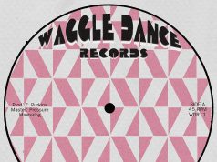 Joe Yorke & The Co-Operators “Downbeat Melody” (Waggle Dance Records)