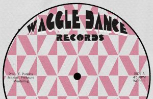 Joe Yorke & The Co-Operators “Downbeat Melody” (Waggle Dance Records)
