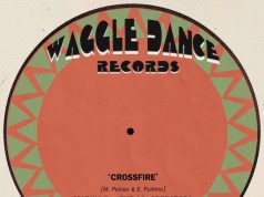 Marina P & The Co-Operators “Crossfire” (Waggle Dance Records)