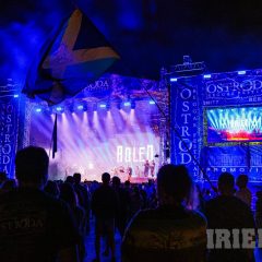 Boleo & Follow The Riddim
