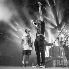 Boleo & Follow The Riddim
