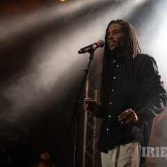 Reggae Jam 2025 Merwin Goldschmidt (15)