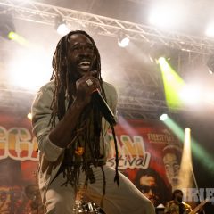Reggae Jam 2025 Merwin Goldschmidt (20)