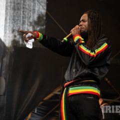 Reggae Jam 2025 Merwin Goldschmidt (27)