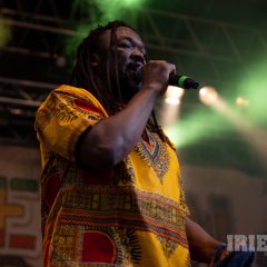 Reggae Jam 2025 Merwin Goldschmidt (3)