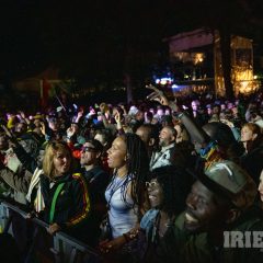 Reggae Jam 2025 Merwin Goldschmidt (48)