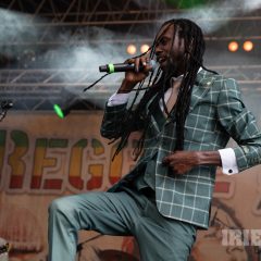 Reggae Jam 2025 Merwin Goldschmidt (59)