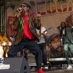 Reggae Jam 2025 Merwin Goldschmidt (65)