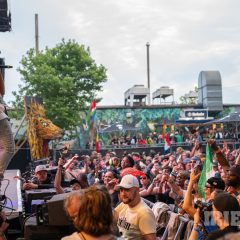 Reggae Jam 2025 Merwin Goldschmidt (76)