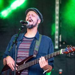 Looney Roots (Foto: houseofpictures.de)