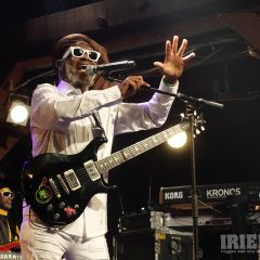 Steel Pulse