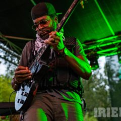Natali Rize – Gitarrist