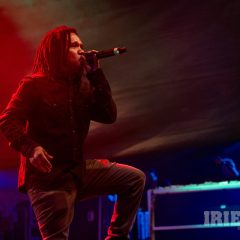 Reggae Jam 2026 Merwin Goldschmidt (98)