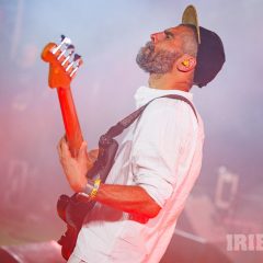 Marcus Gad & Tribe