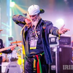 The Congos
