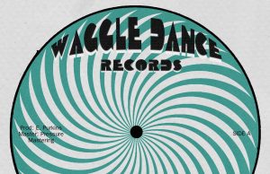 Pupajim & The Co-Operators “Rising” (Waggle Dance Records)